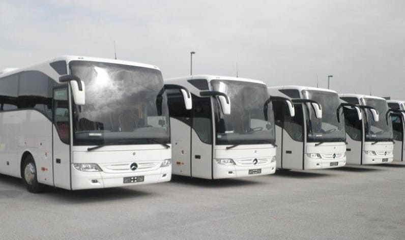 Campania: Bus company in Battipaglia in Battipaglia and Italy