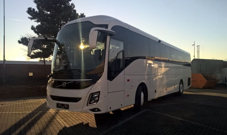 Apulia: Bus hire in Altamura in Altamura and Italy